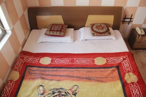 Hotel Motherland, Haridwar 3